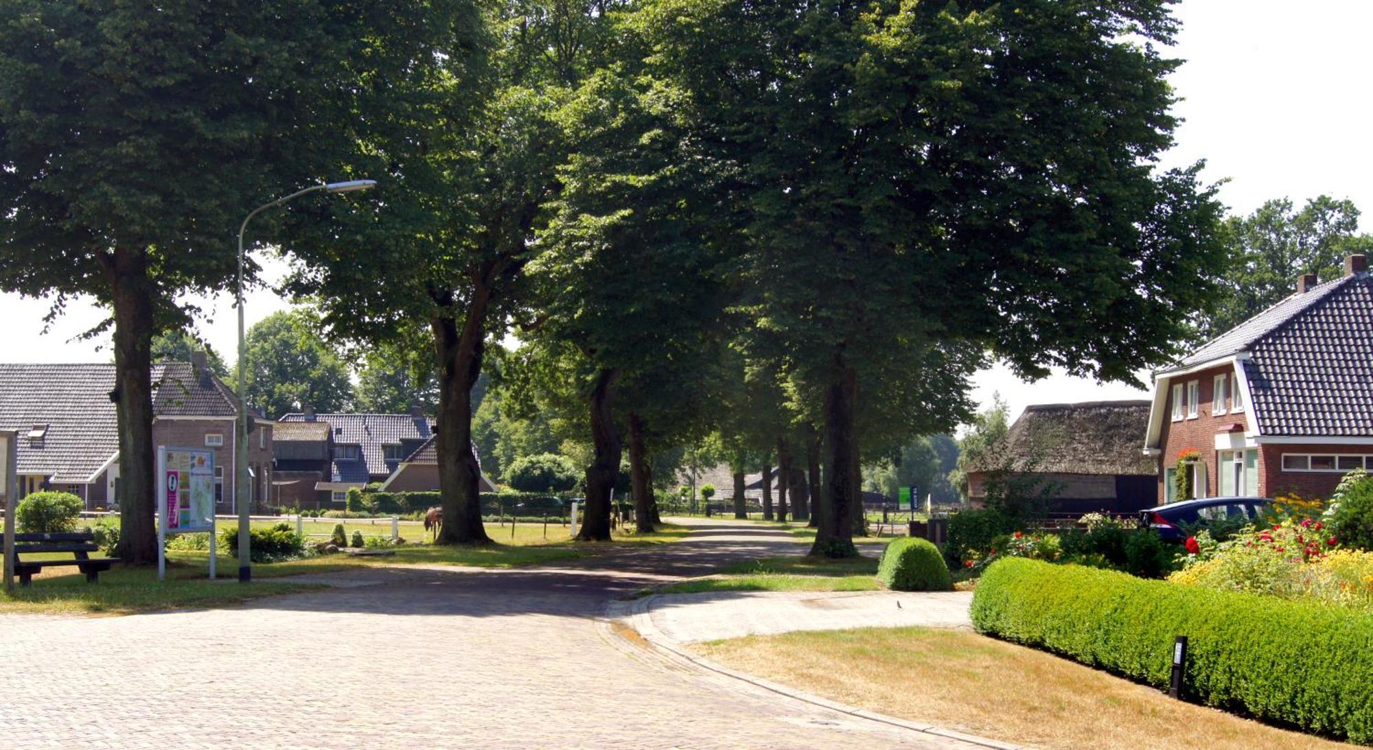 Gasterij De Koekoekshof Hotel Elp Bagian luar foto